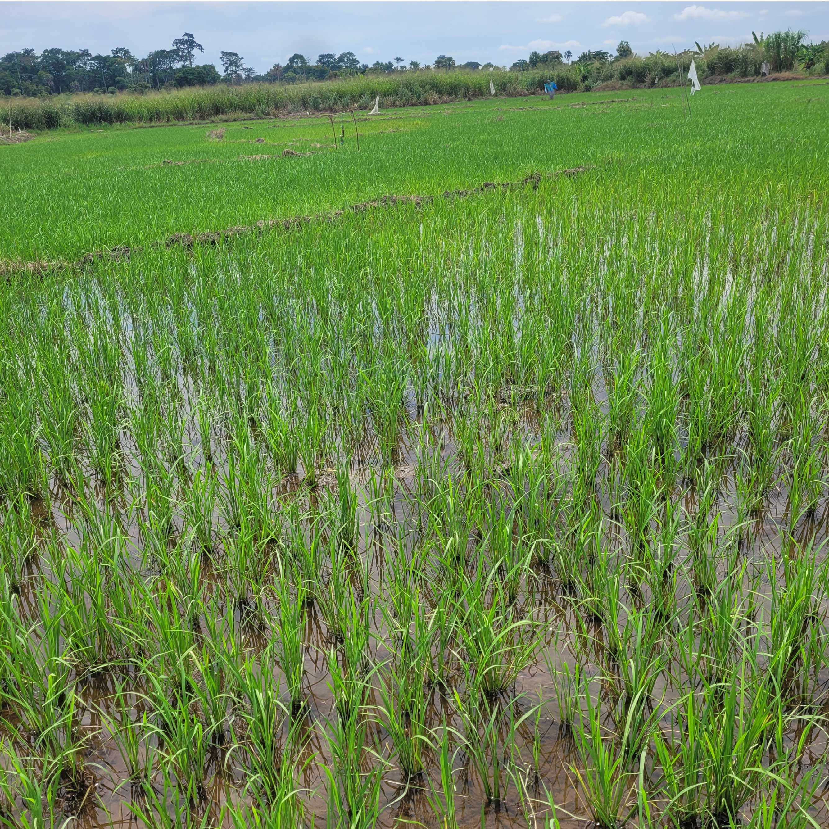 Remise des Prix 2021