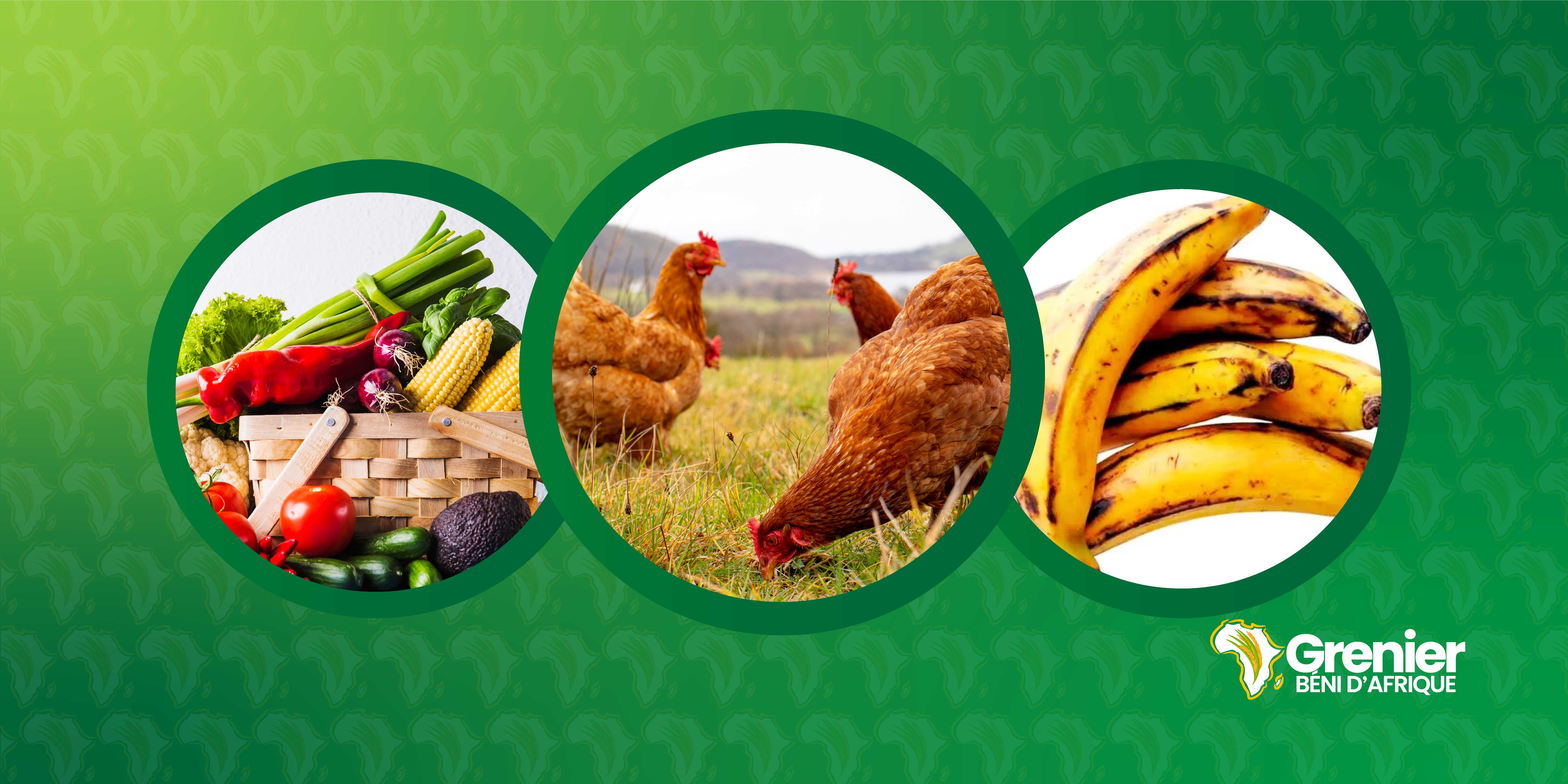 Agriculture, 
                locale et internationale, services professionnels en Côte dIvoire.Grenier Béni d'Afrique,
                Production agricole Côte d'Ivoire, Transformation produits agricoles, Commercialisation produits agricoles,